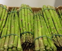 asparagi 10-16 - 2-1