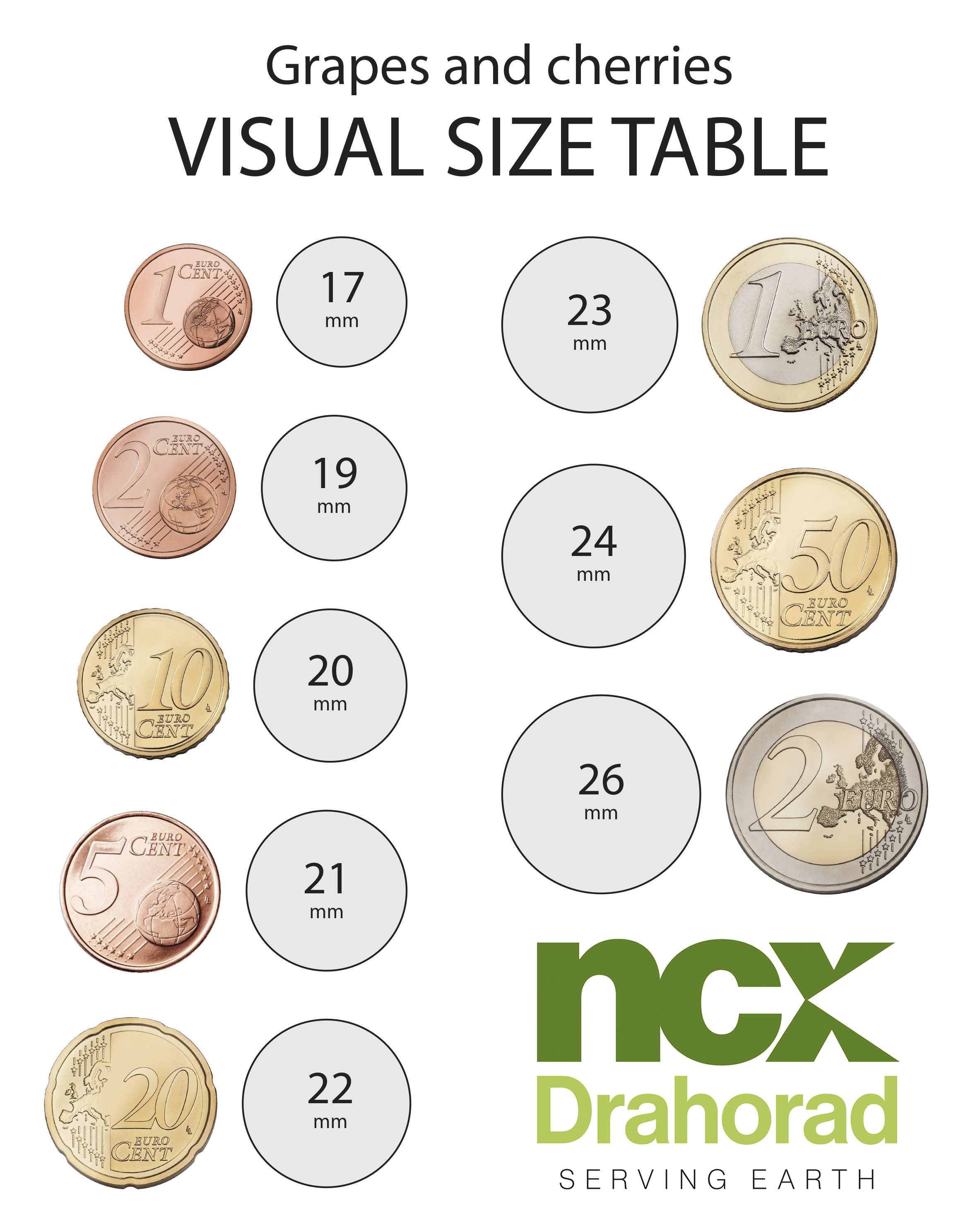 Coin Size Chart