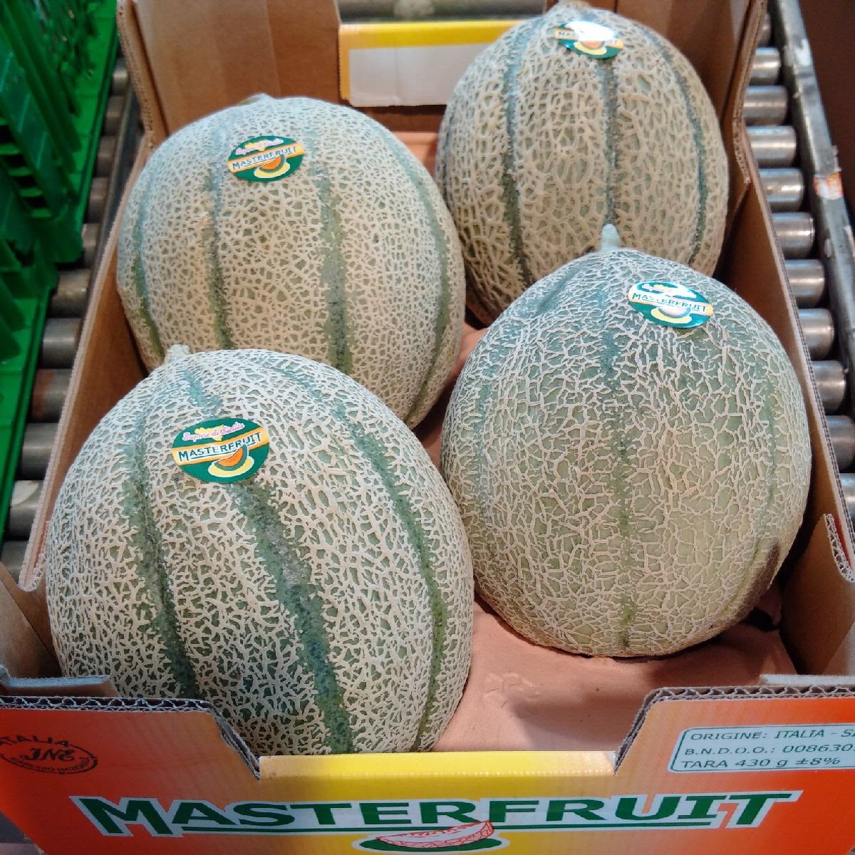 Cantaloupe Melons - Sicily