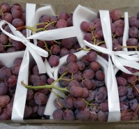 Red Globe grapes