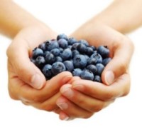 blueberries