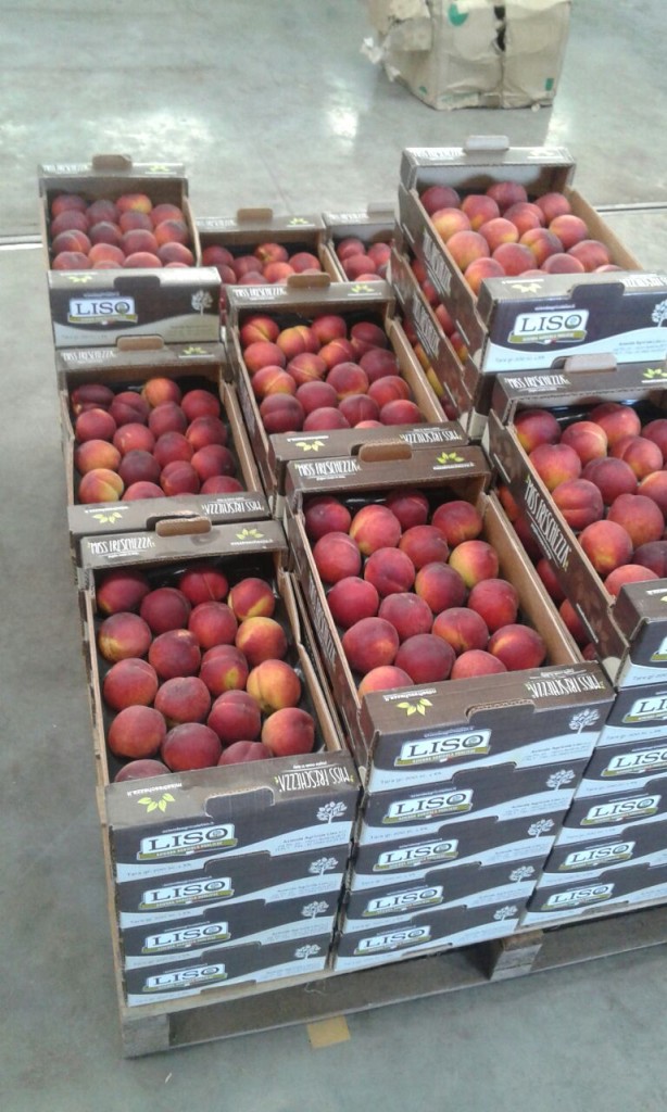 Nectarines 6,5Kg layers