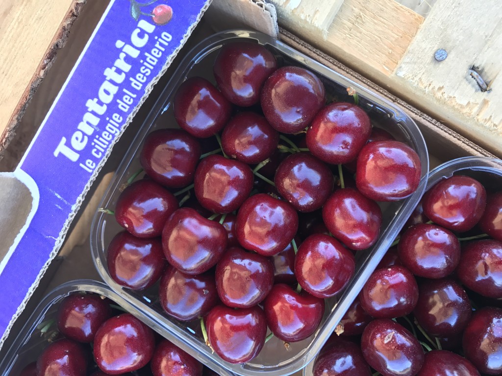 Sambra cherries (origin Vignola) in 500g punnets