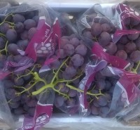 Red Globe grapes