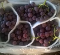 Red Globe grapes