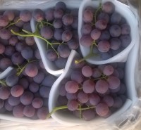 Red Globe grapes