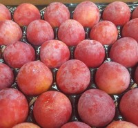 Red plums