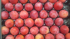 Red plums