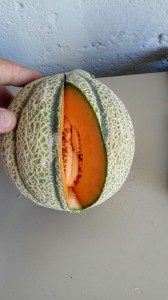 Cantaloupe melon