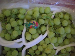 Victoria grapes