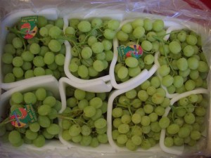 Victoria grapes