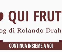 qui-frutta-4