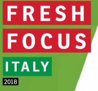FF Italy logo