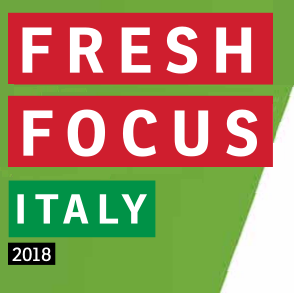 FF Italy logo