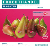 Fruchthandel34-2020