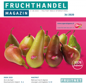 Fruchthandel34-2020