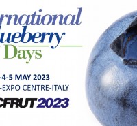International Blueberry Days